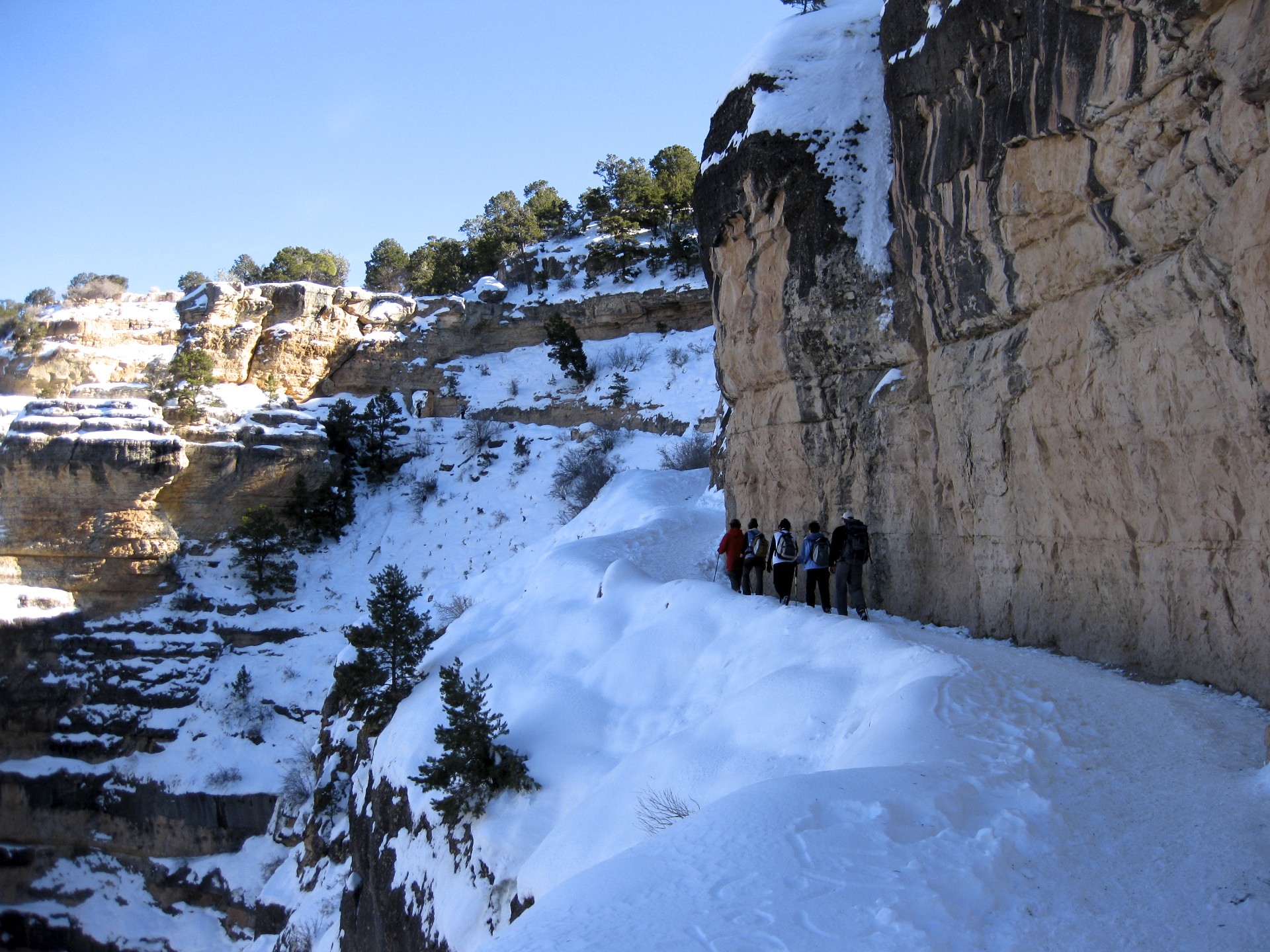 Back in the Snow - gallery