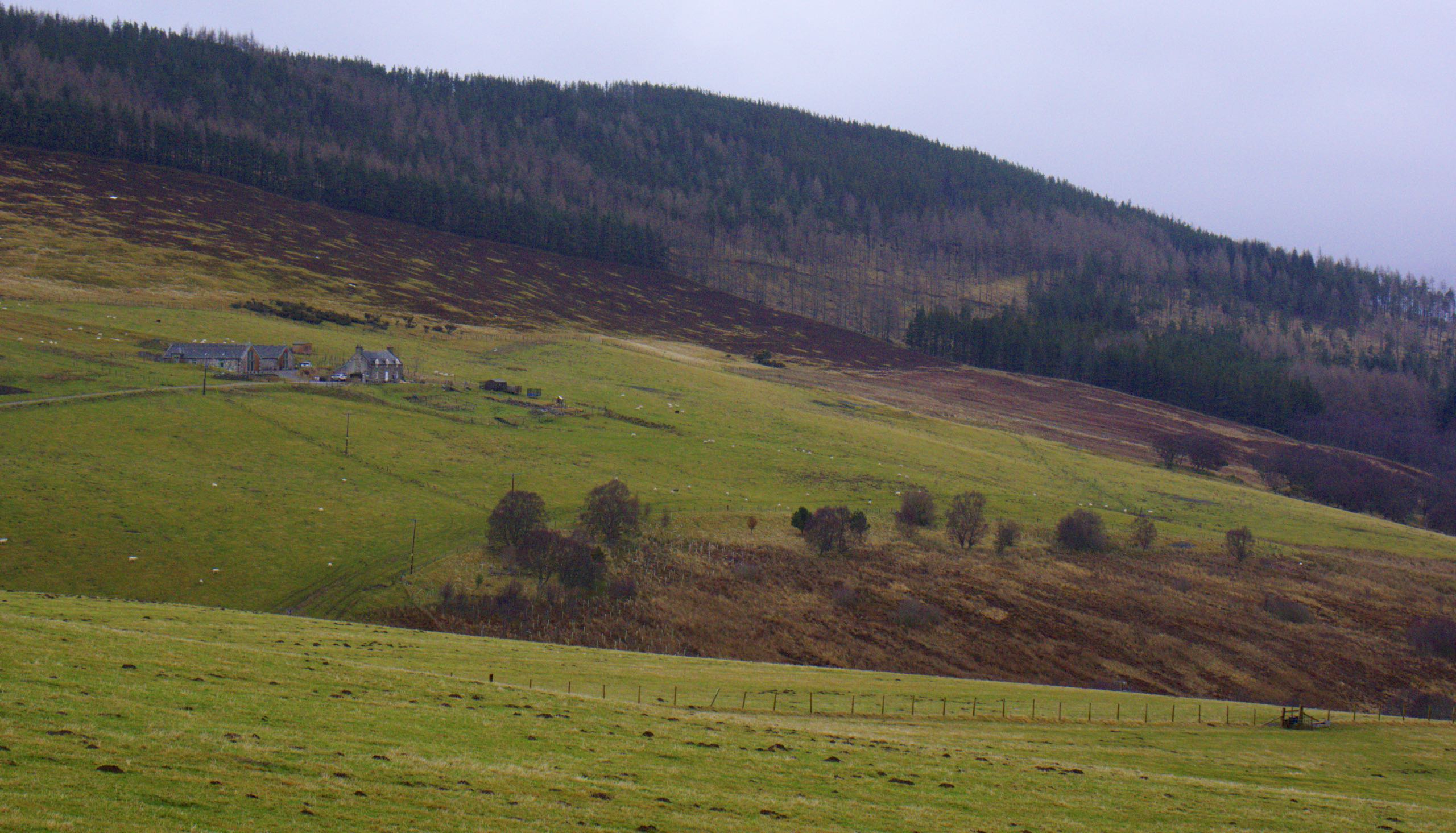 Balneden Steading