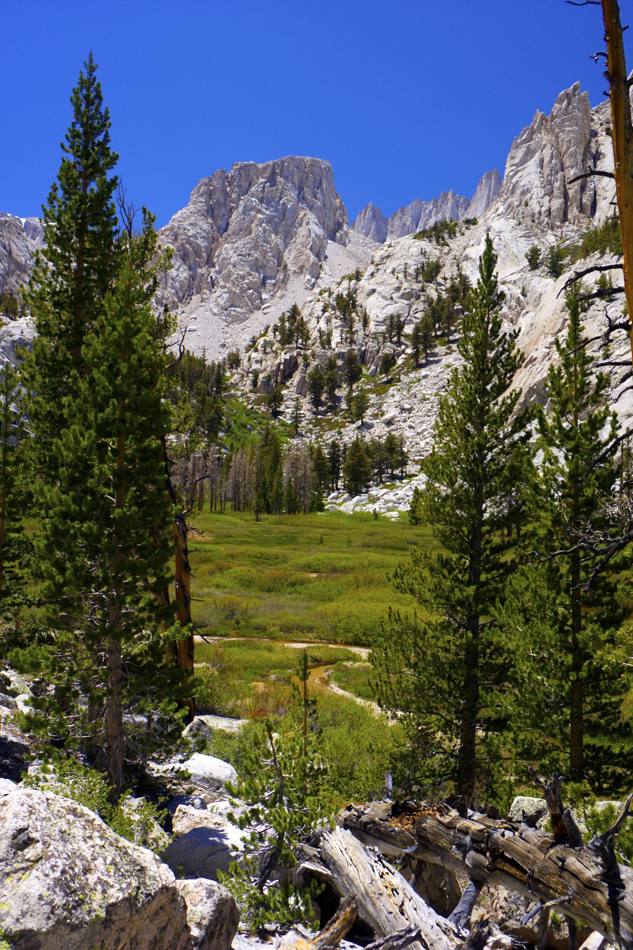 Bighorn Park - gallery