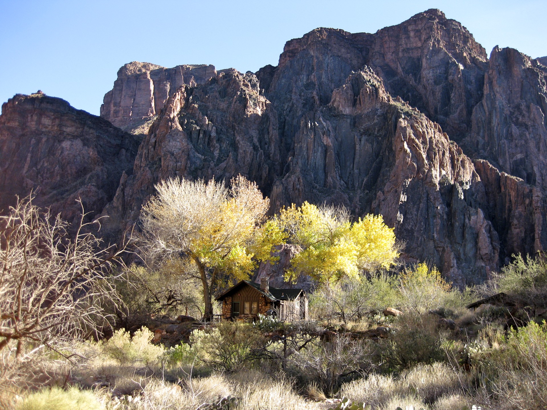 Bright Angel Canyon, Arizona - gallery