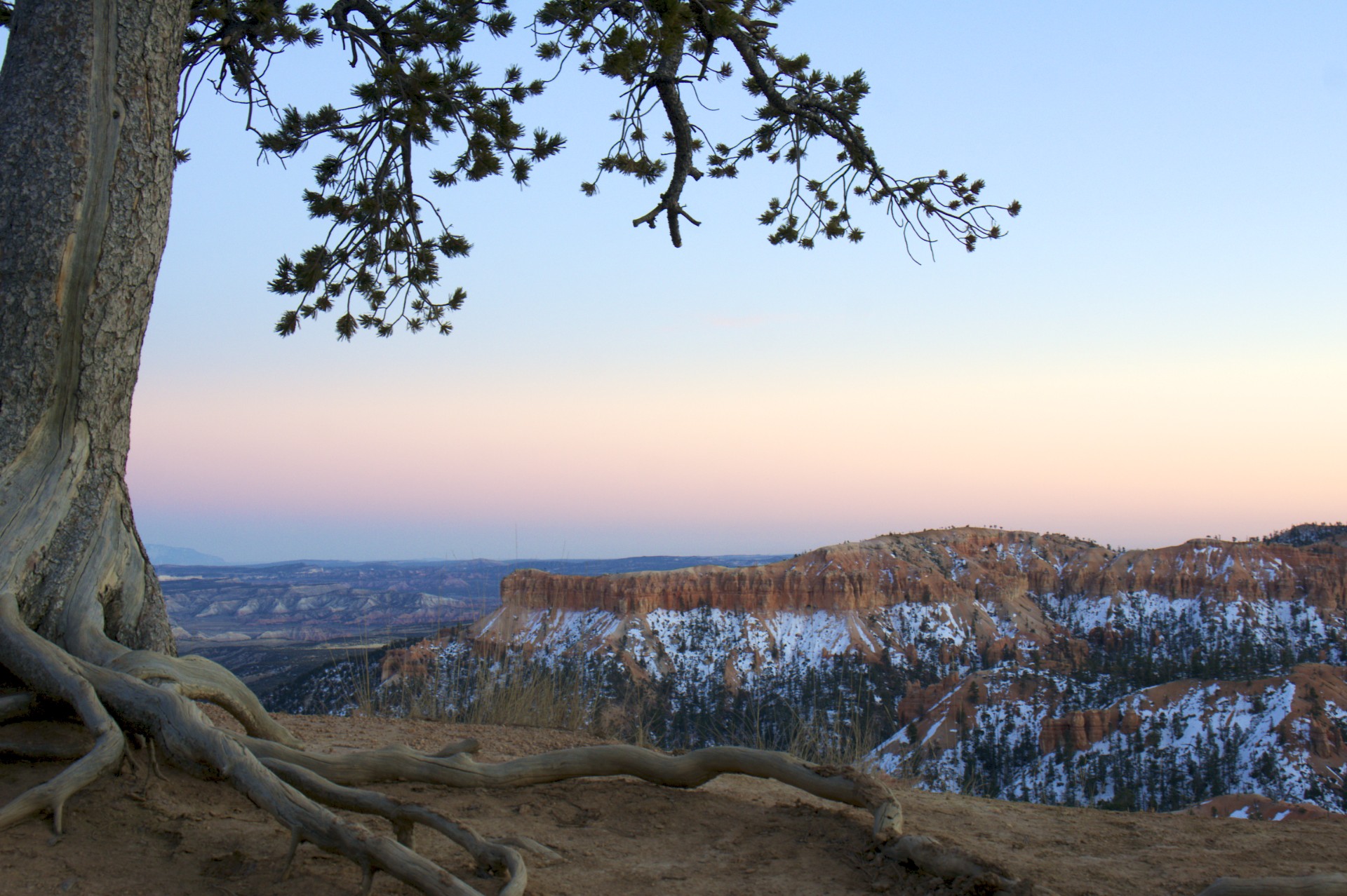 Bryce Canyon - gallery