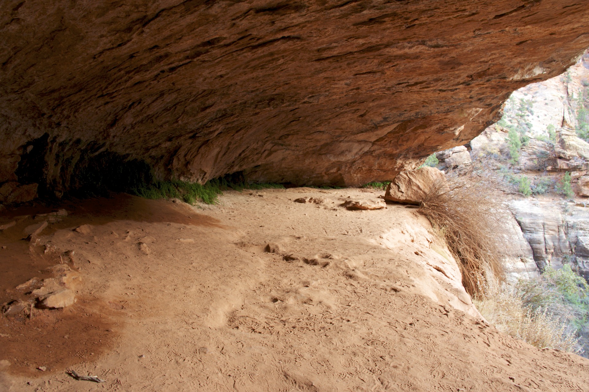 Canyon Overlook Trail - gallery