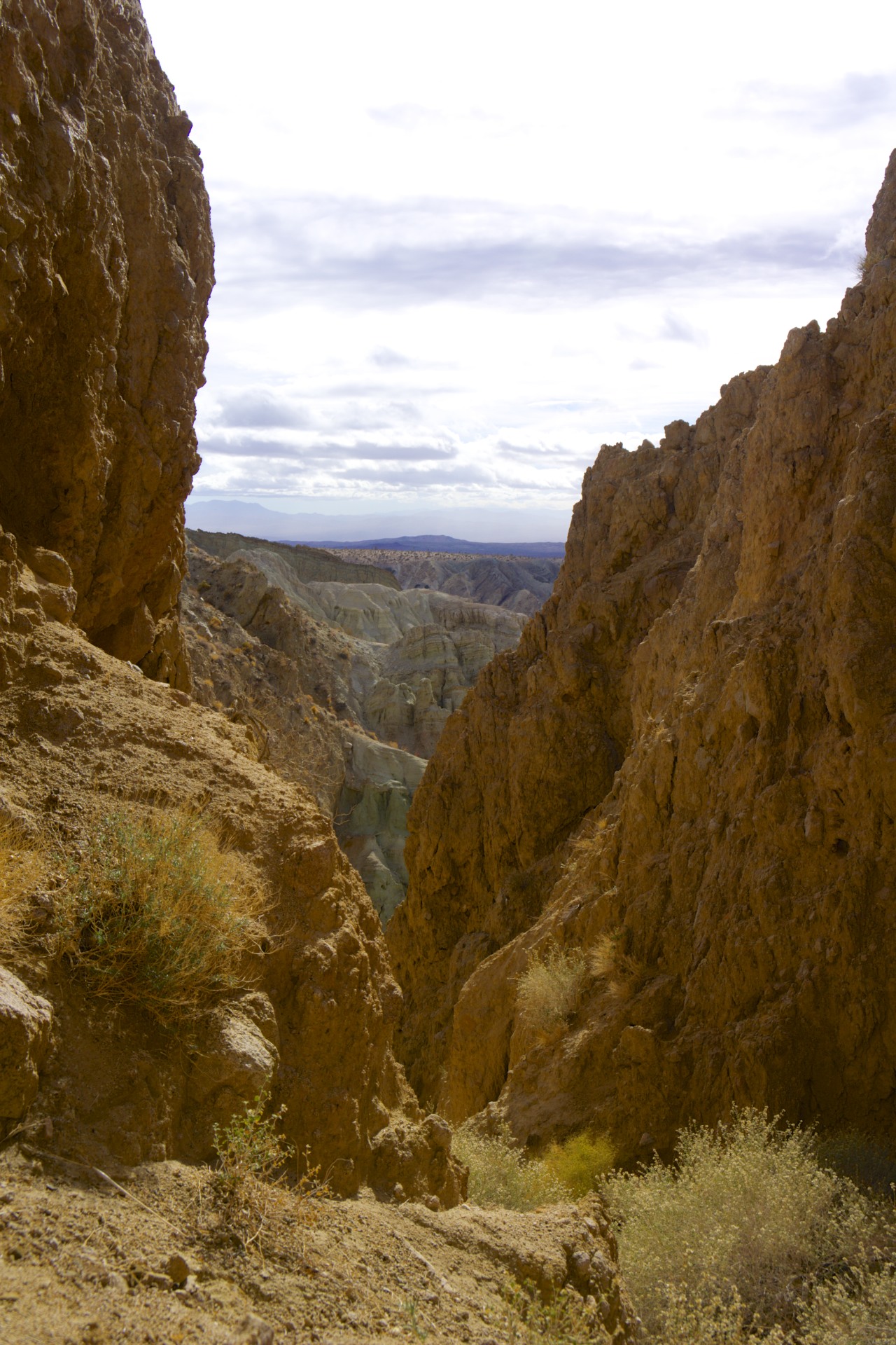 Canyon - gallery