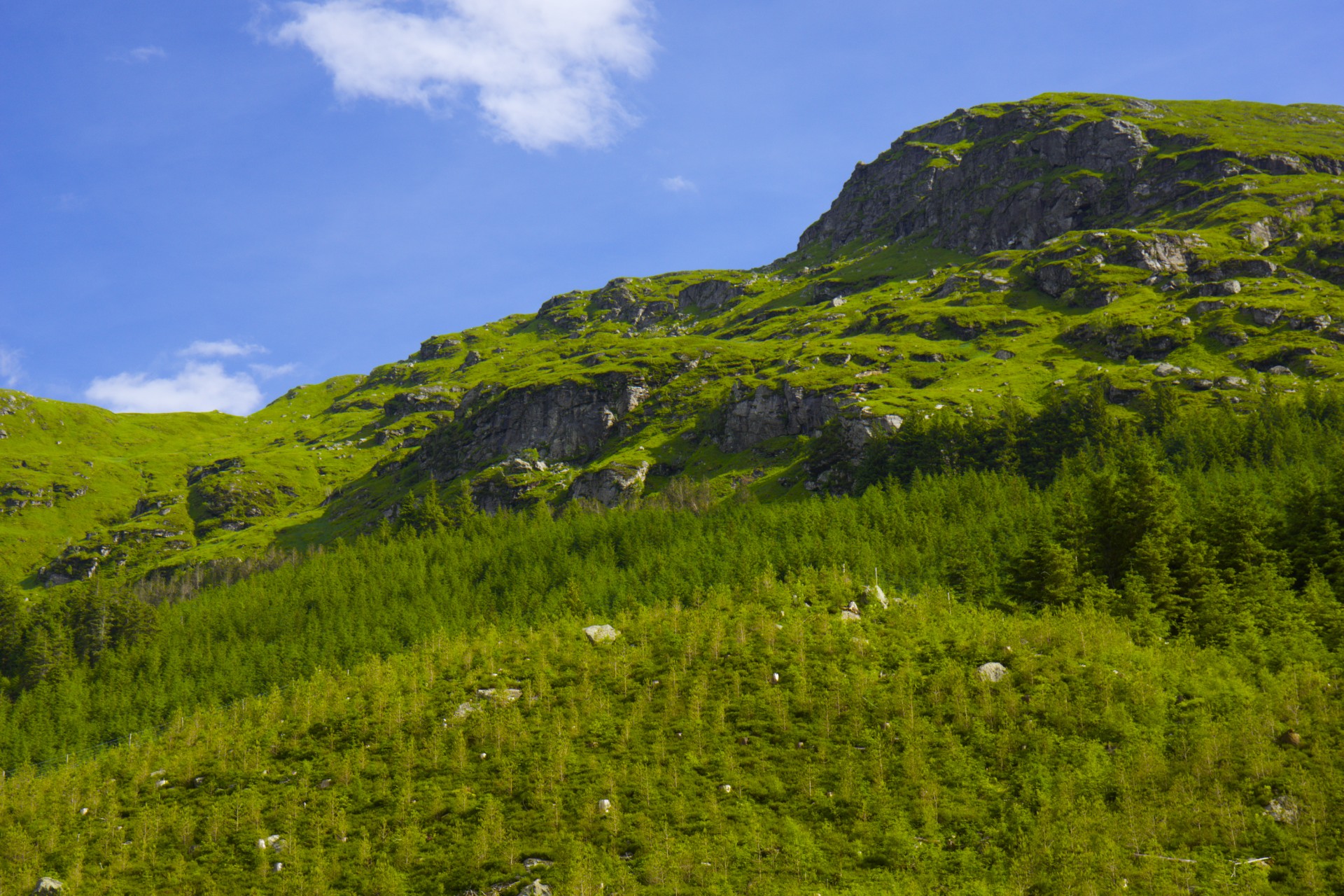 Cliffs - gallery