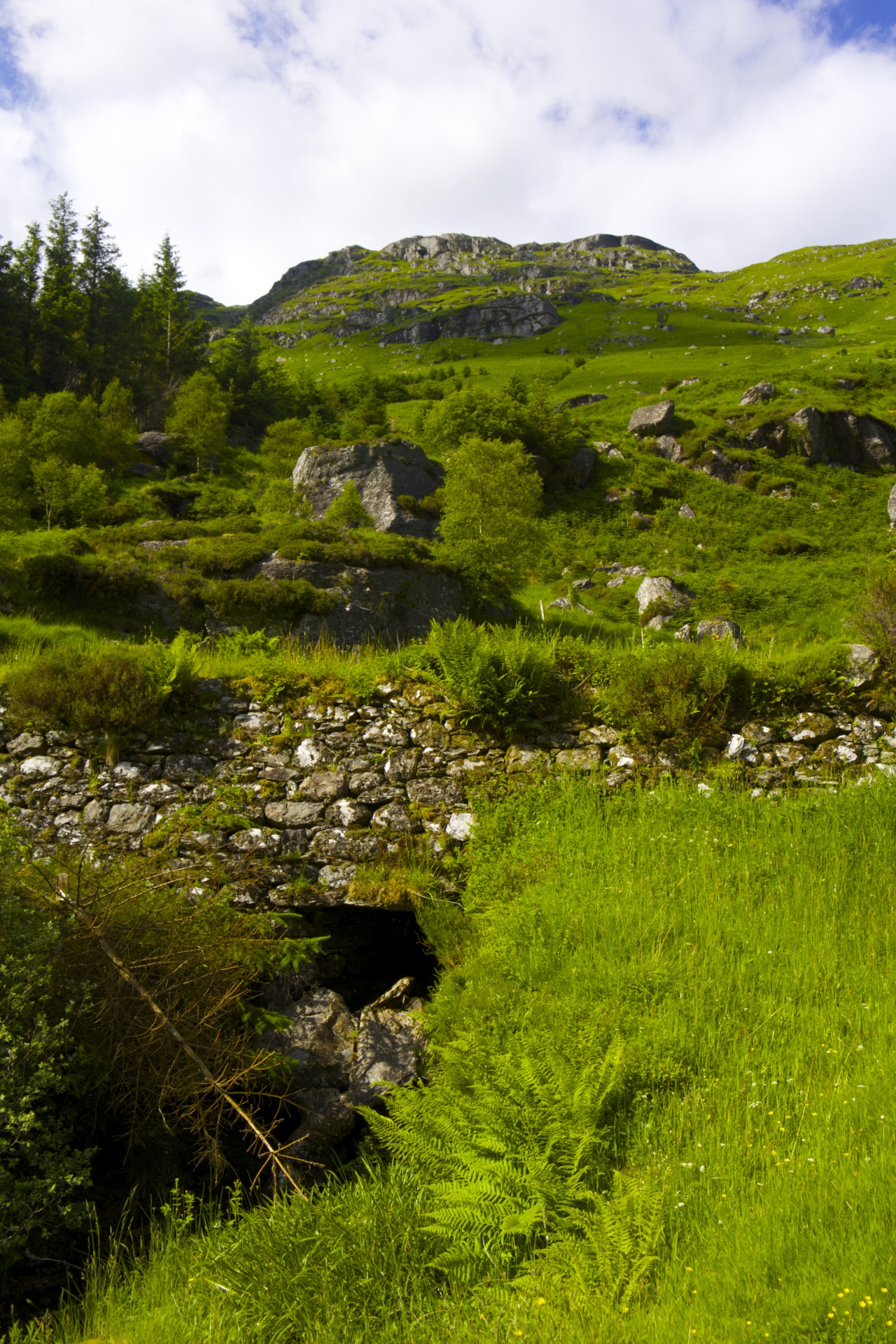 Culvert - gallery