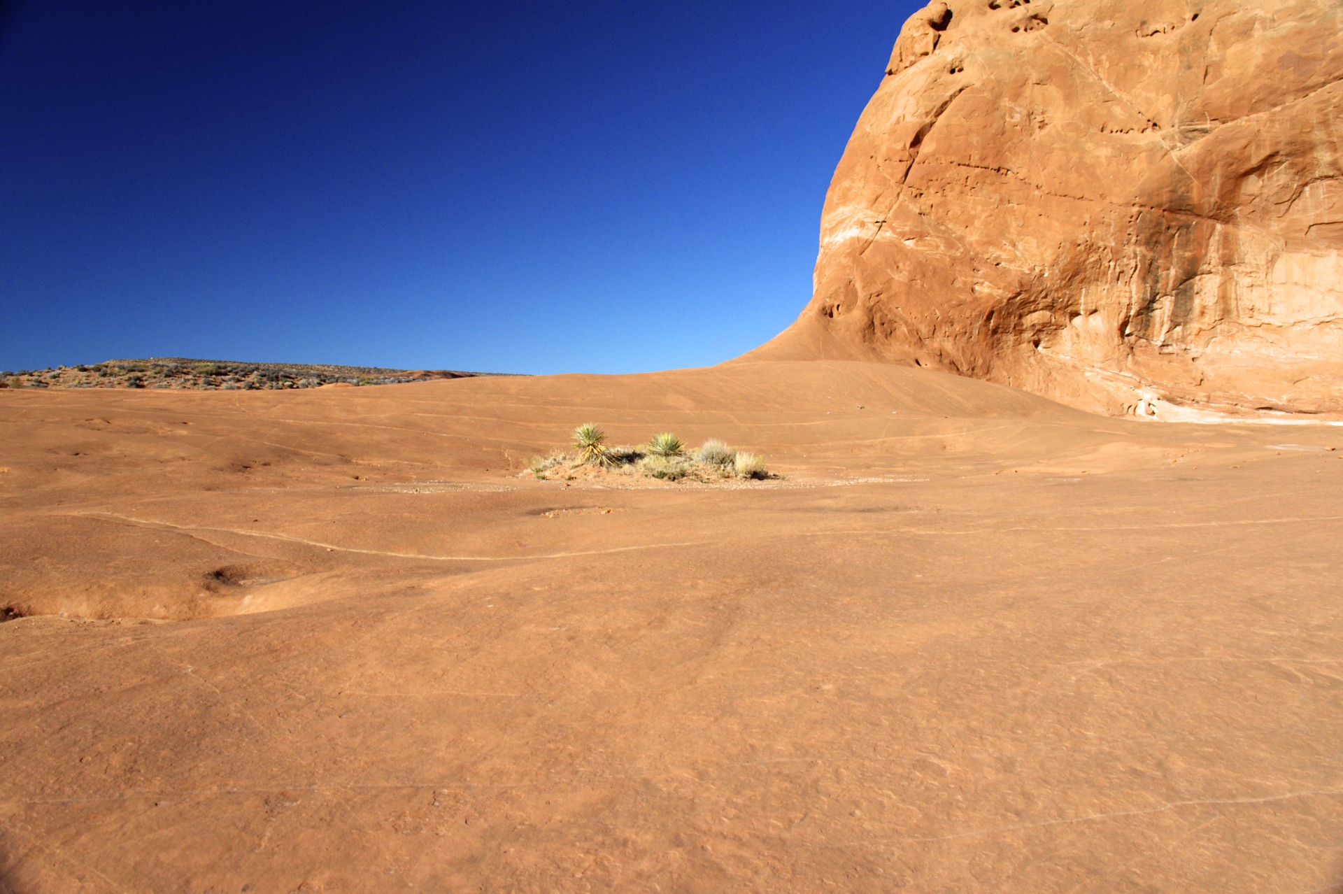Dance Hall Rock - gallery