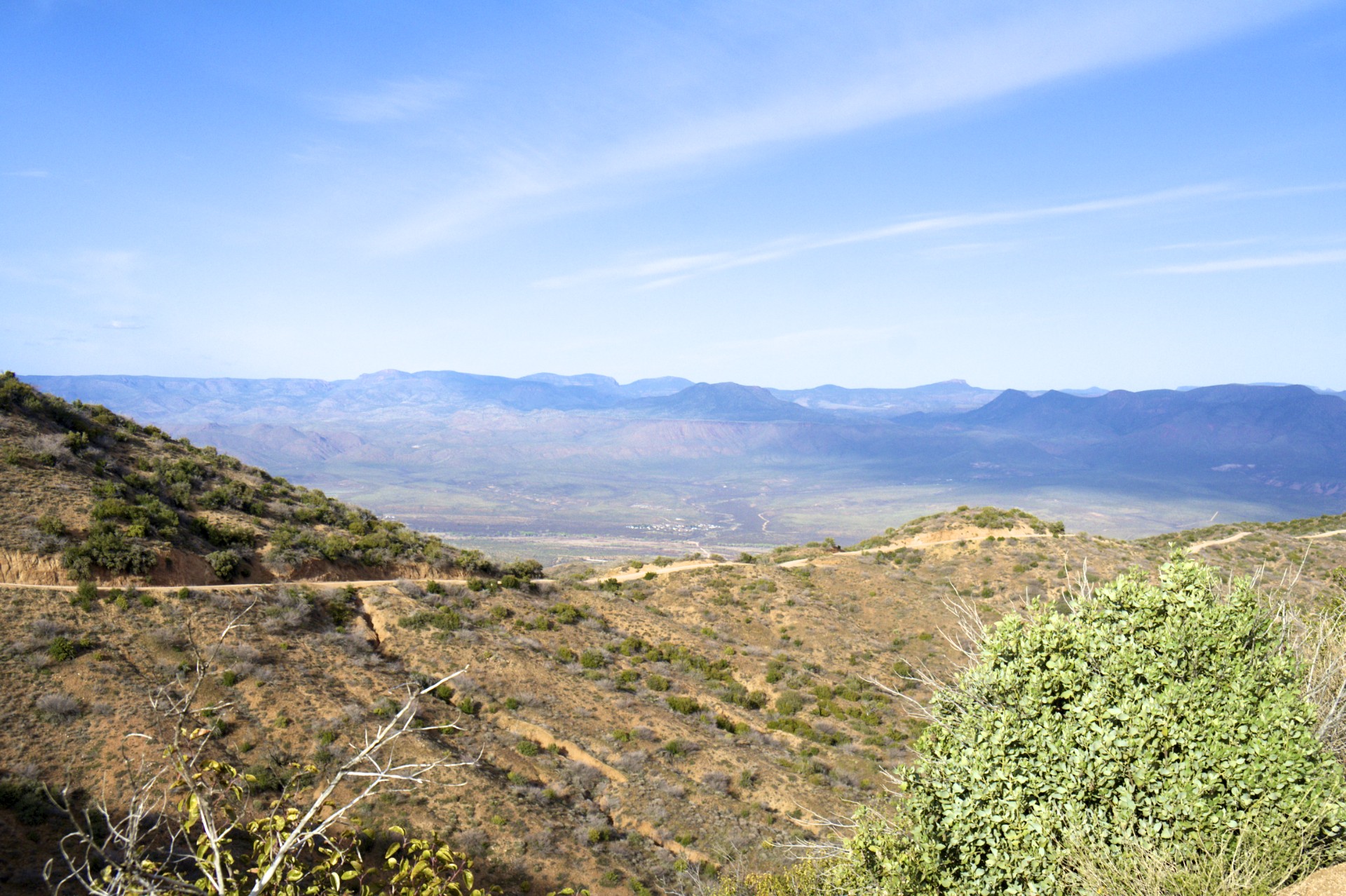 El Oso Road - gallery