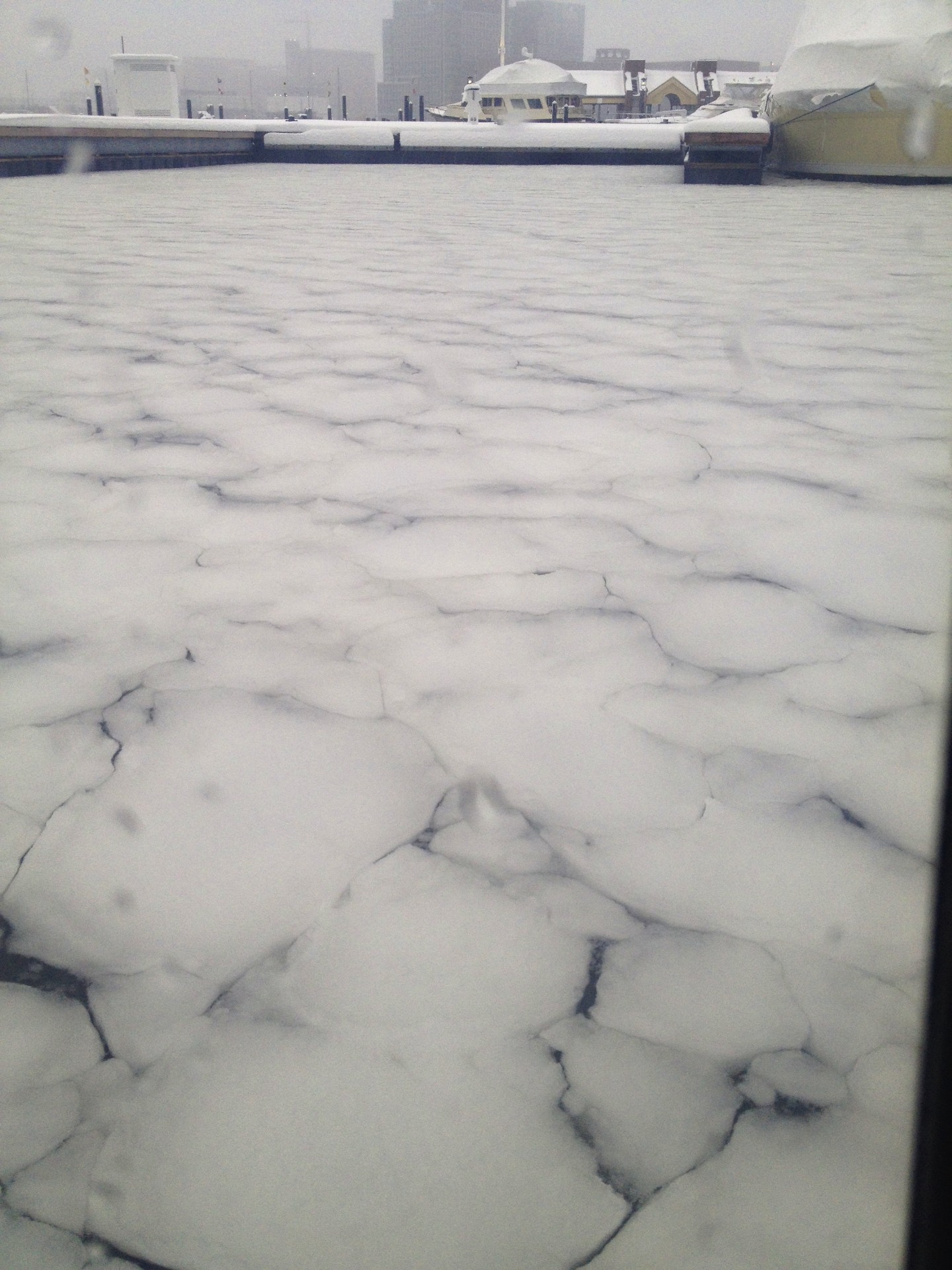 Frozen Harbor