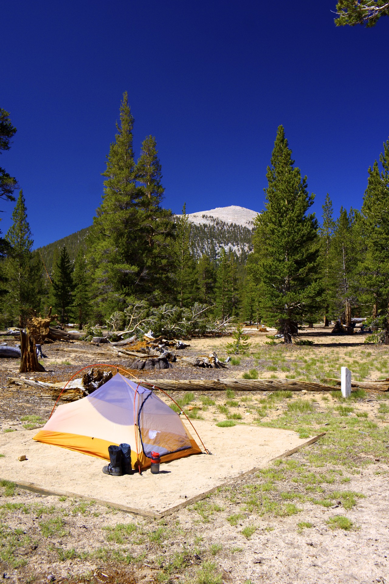 Horseshoe Meadows Camp