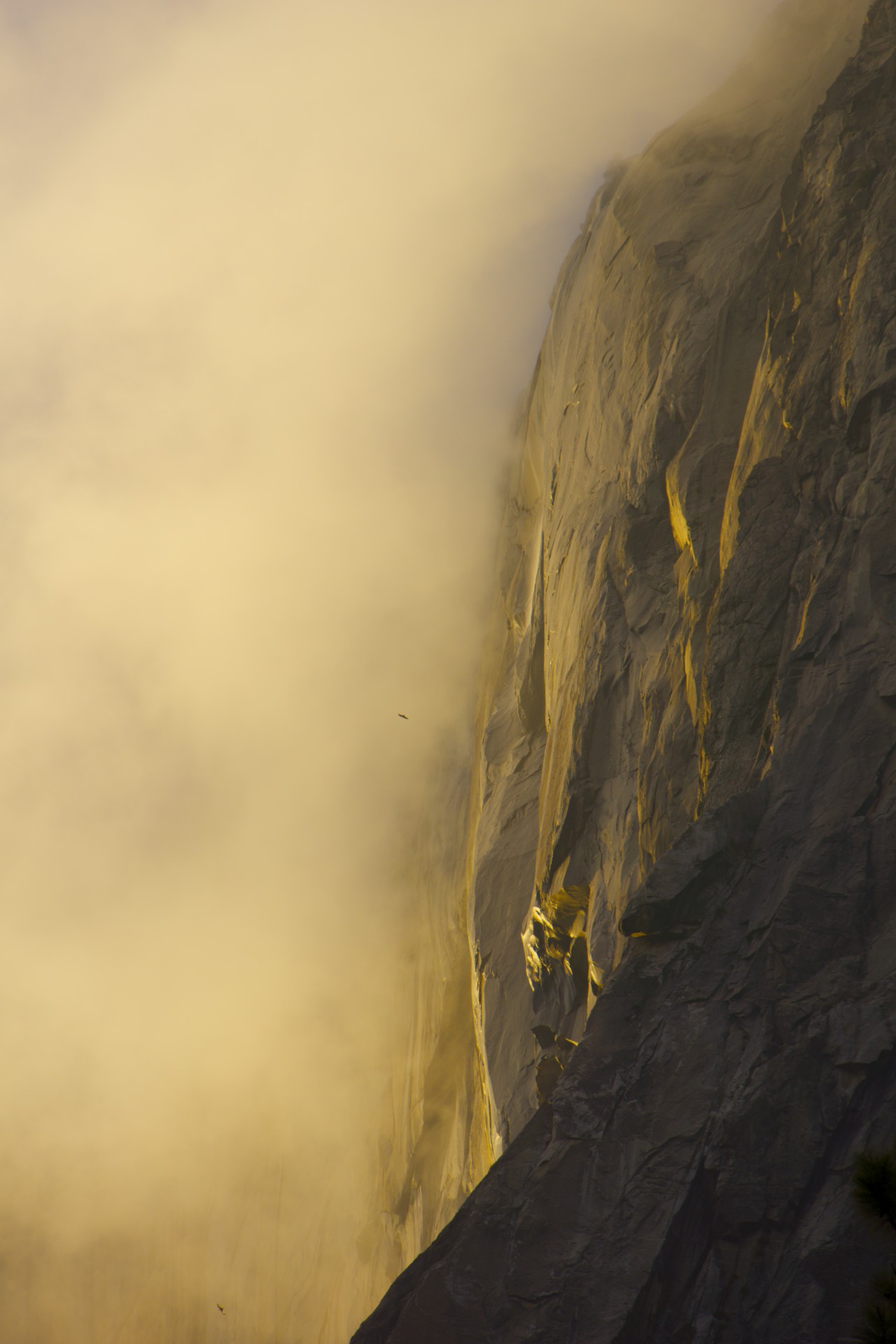 Horsetail Fall