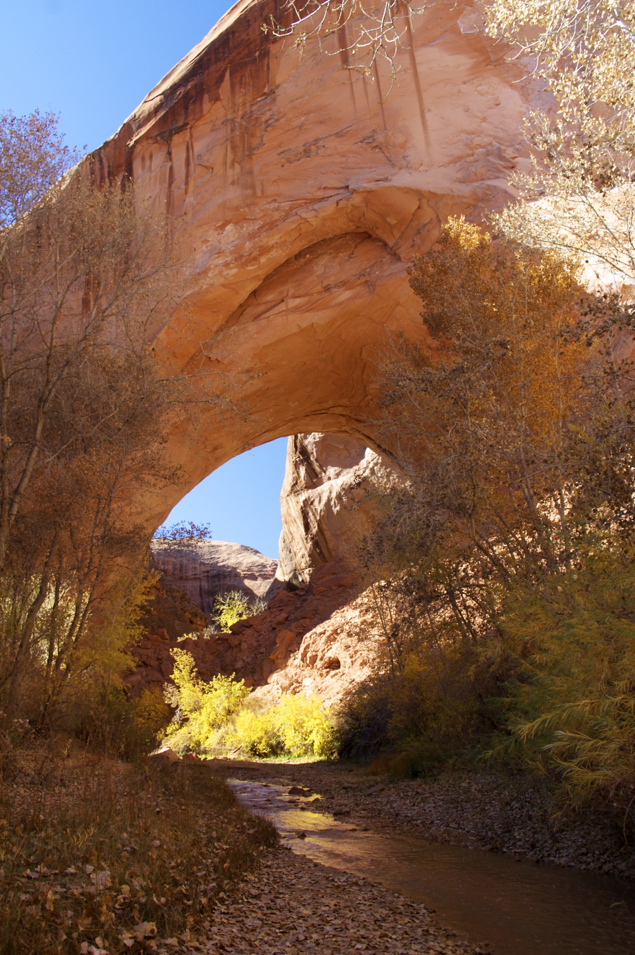 Jacob Hamblin Arch - gallery