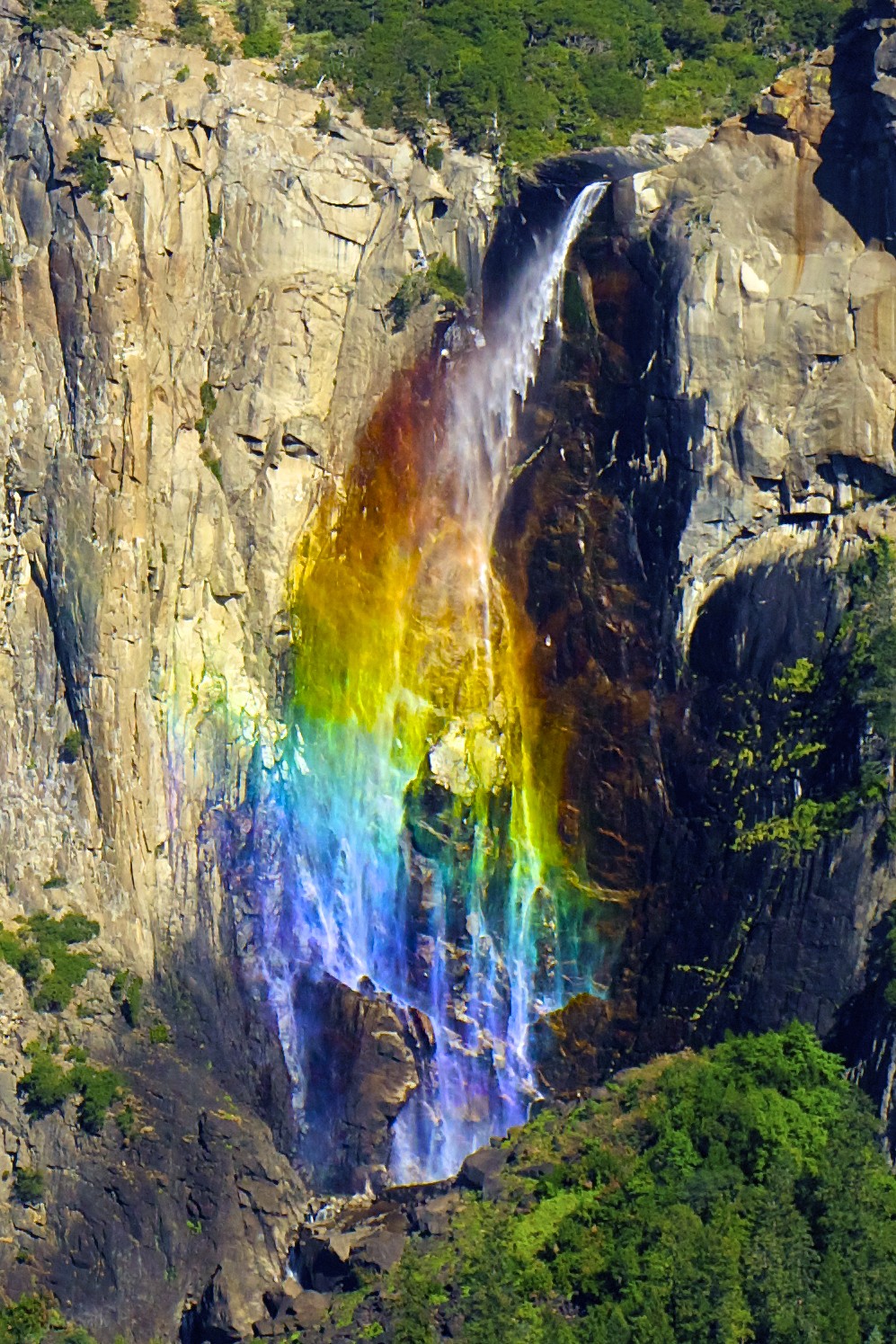 Just Rainbows