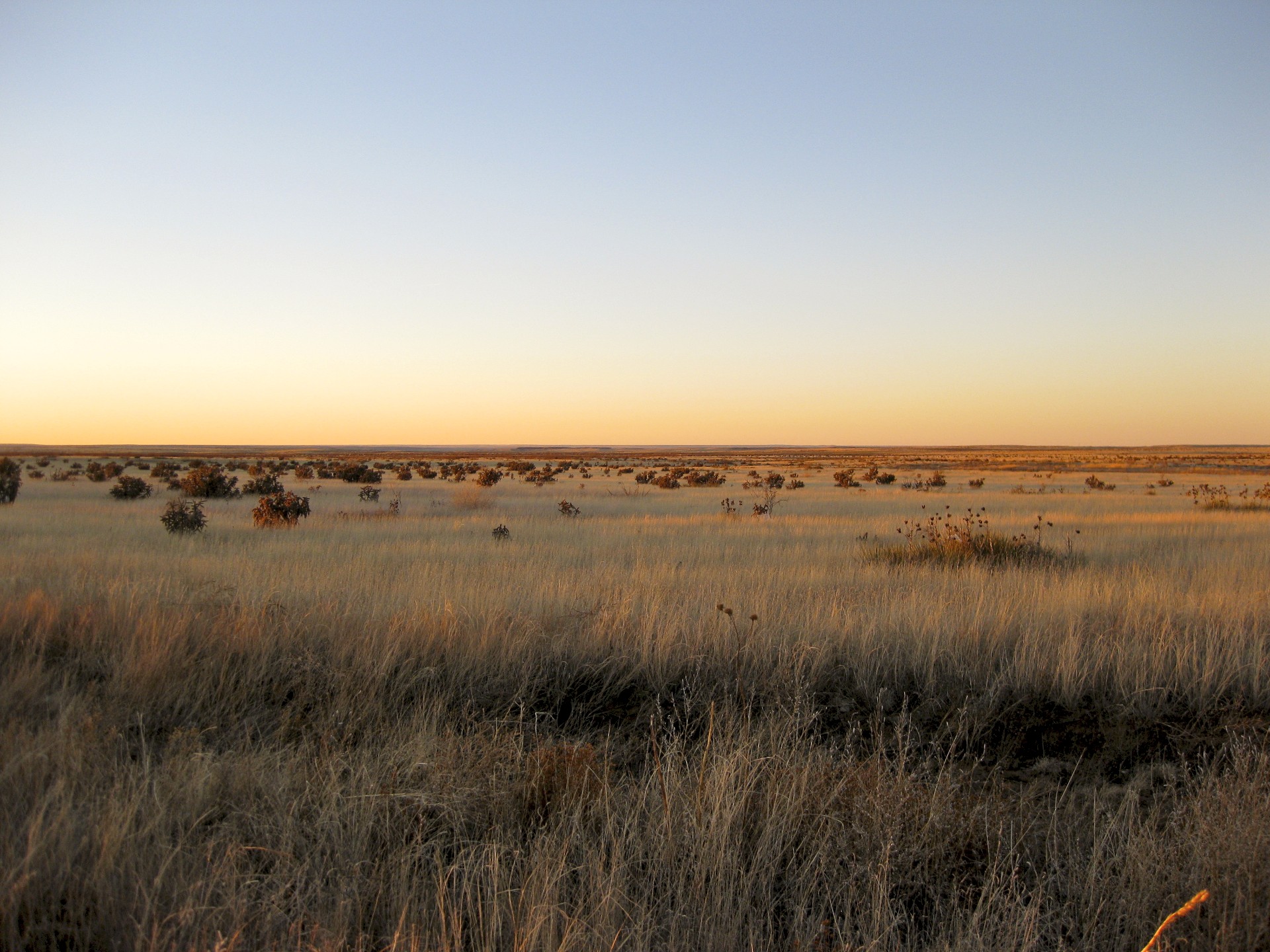 Llano Estacado