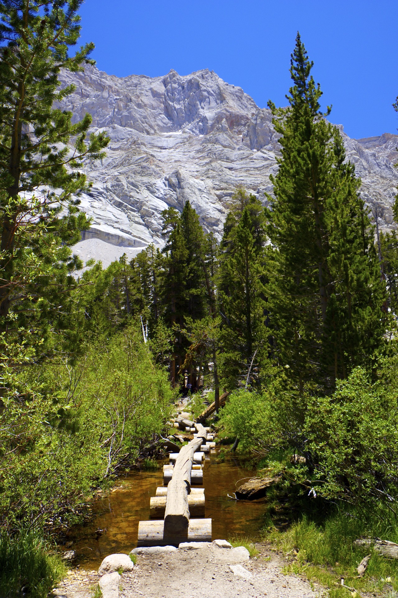 Log Bridge - gallery
