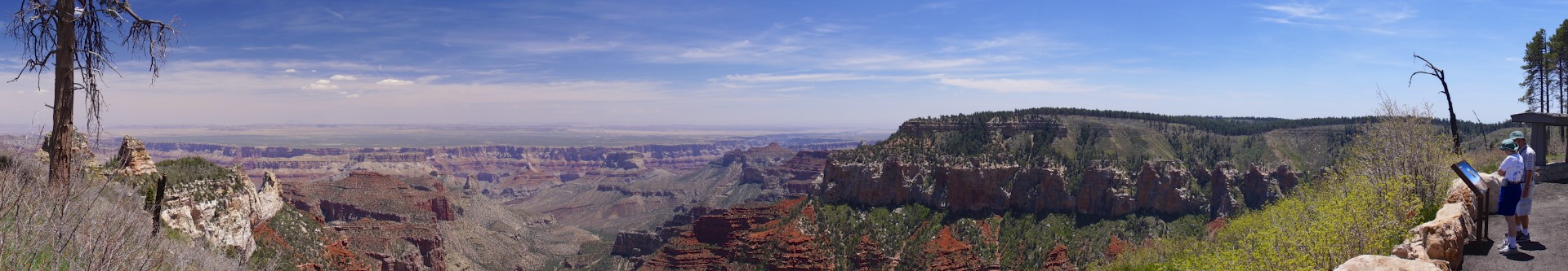 Looking down at the South Rim - gallery