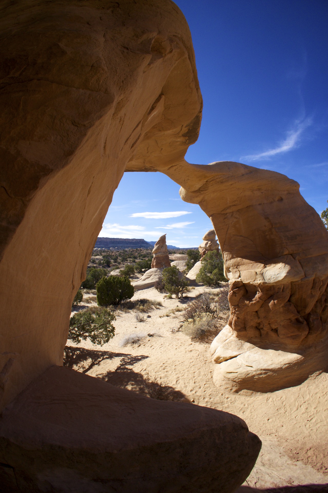 Metate Arch