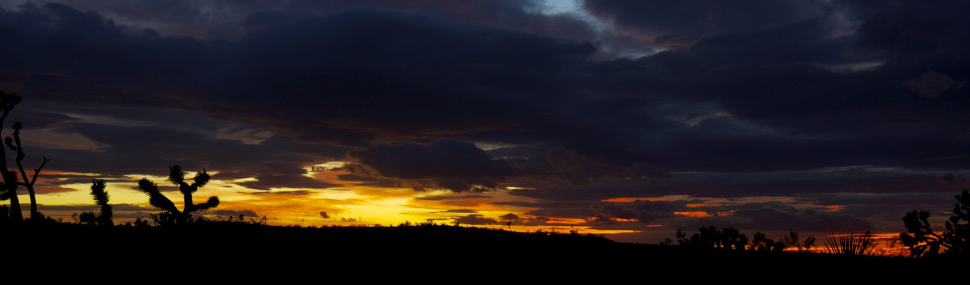 Mojave Sunset