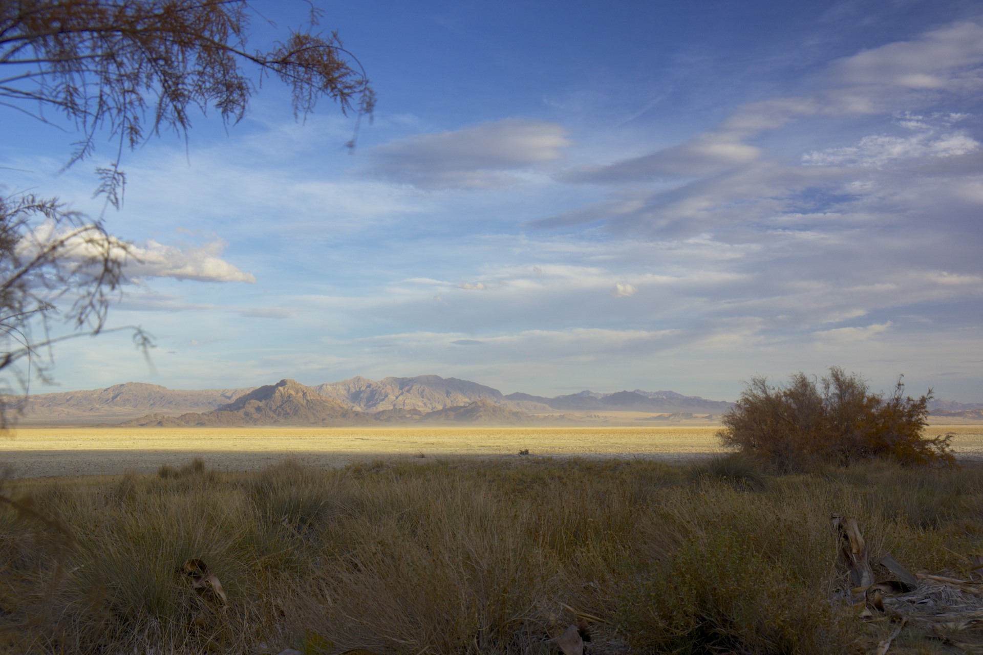 Mojave - gallery