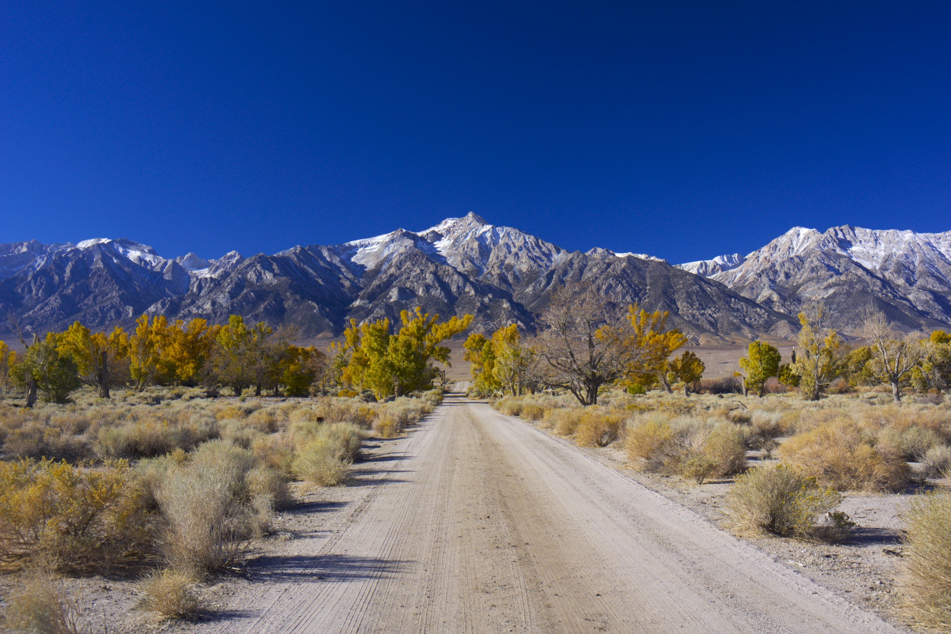 Mt Williamson - gallery