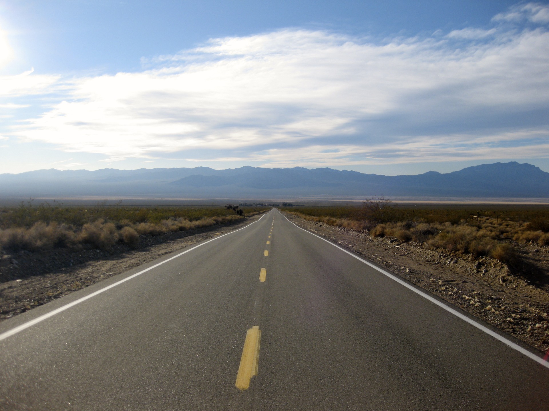 Oasis in the Mojave - gallery
