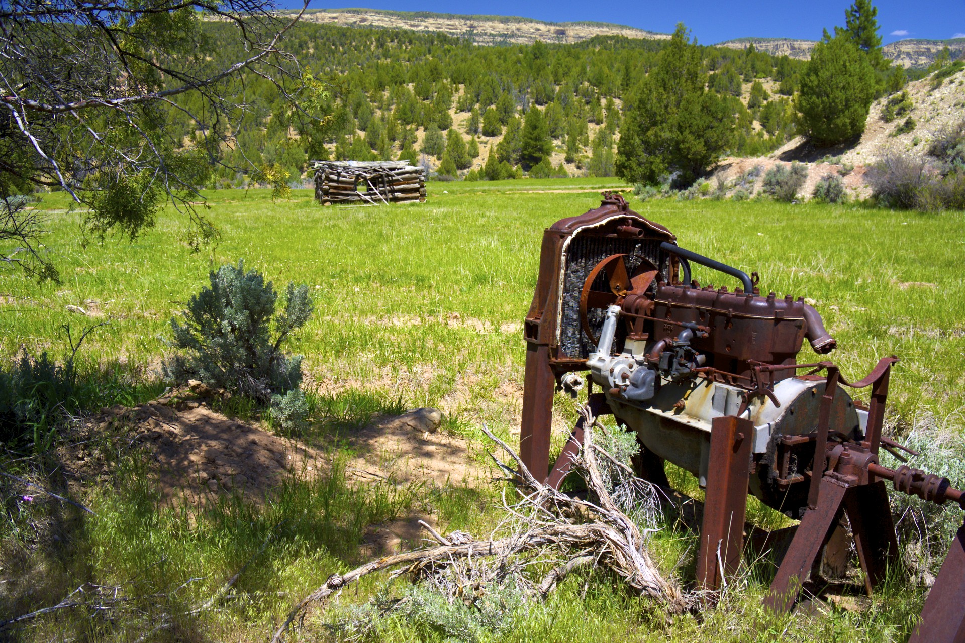 Old Cabin - gallery