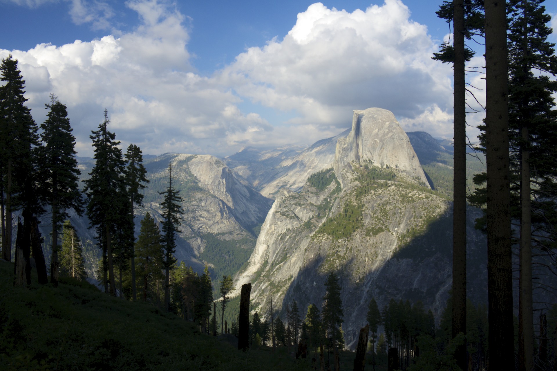 On The Trail - gallery