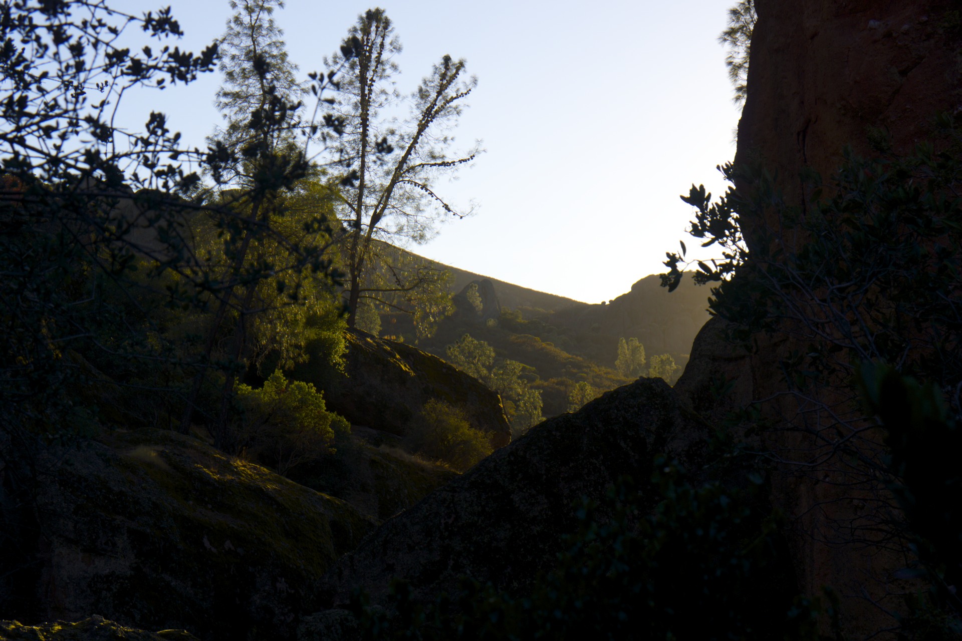Pinnacles - gallery