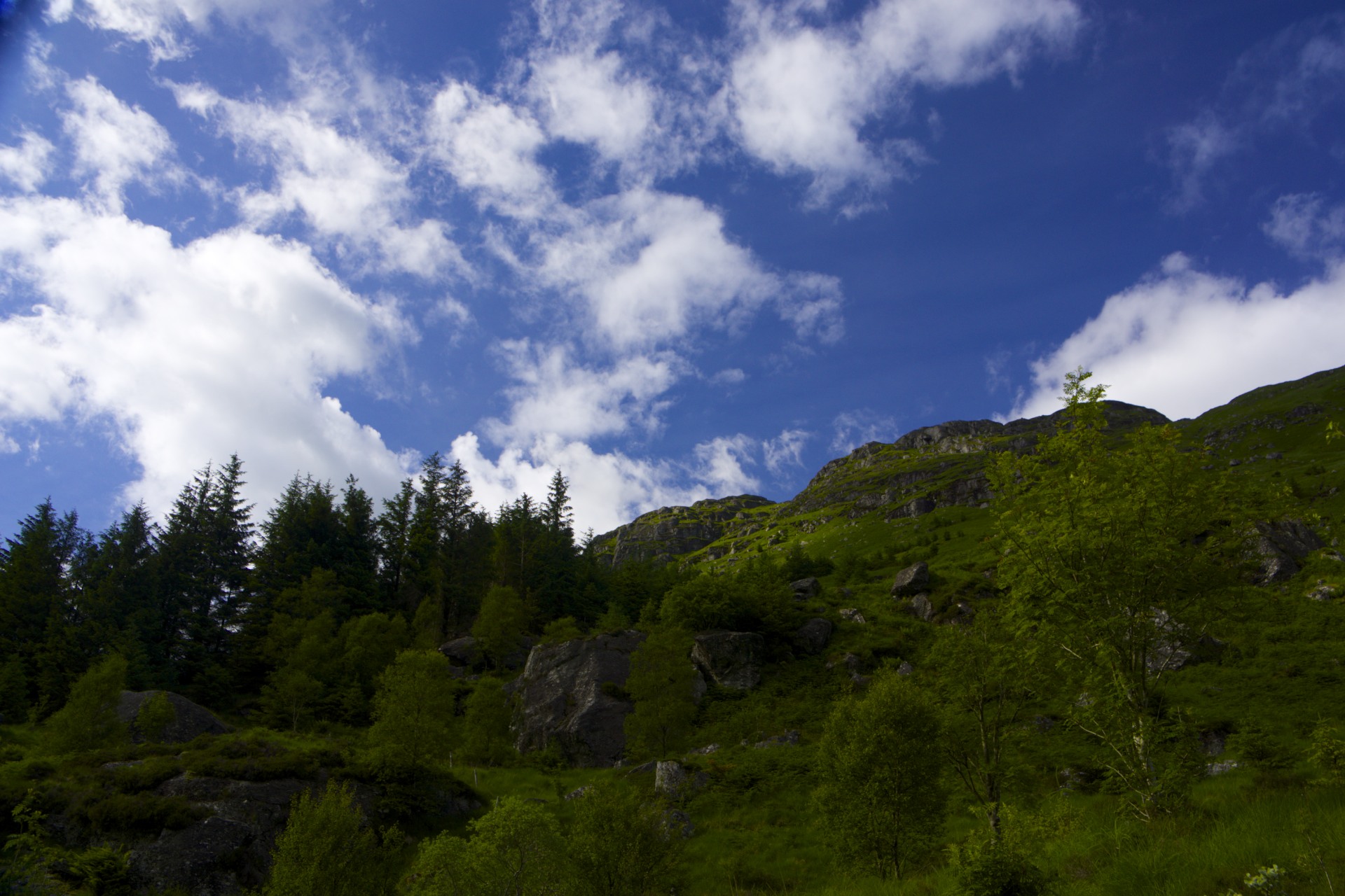 Ridge - gallery