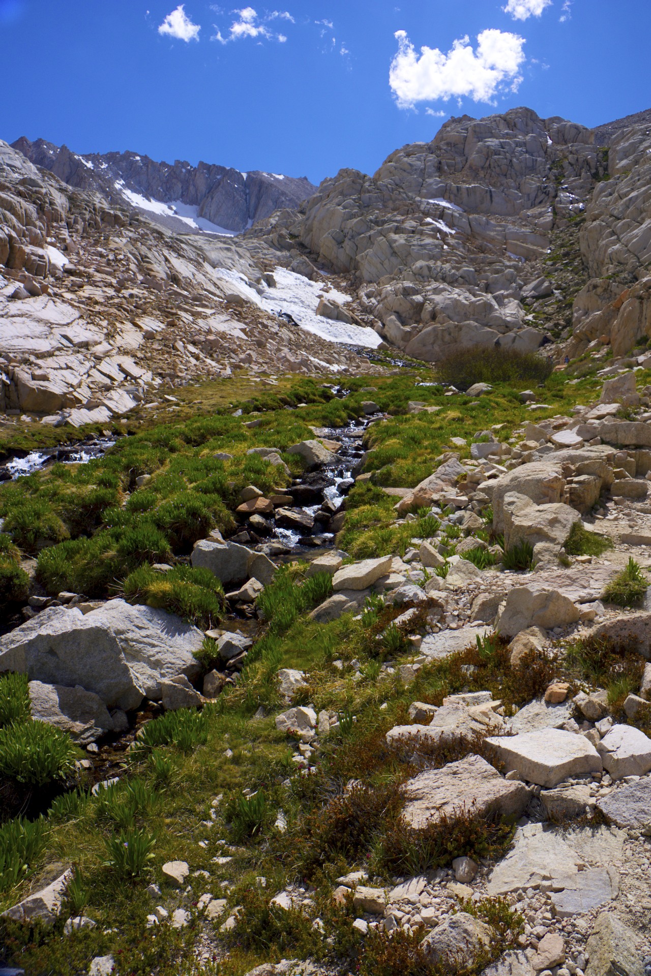 Trailside Meadow - gallery