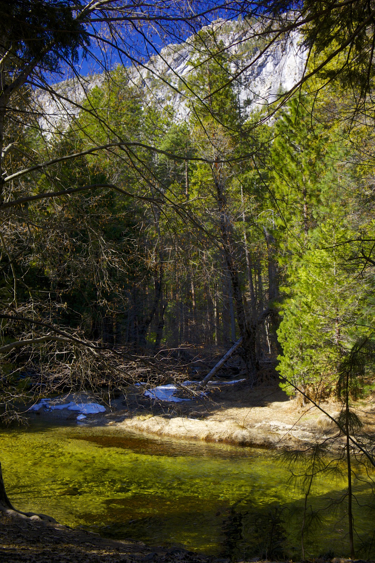 Yosemite Creek - gallery