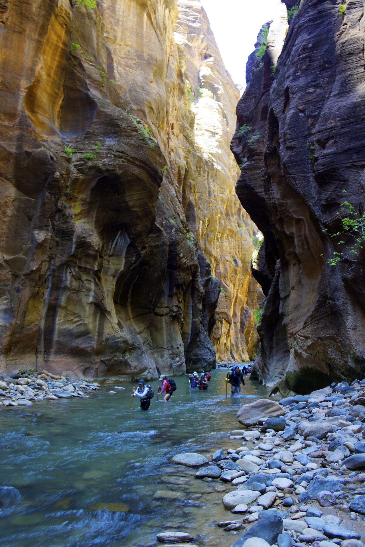 Zion Narrows - gallery