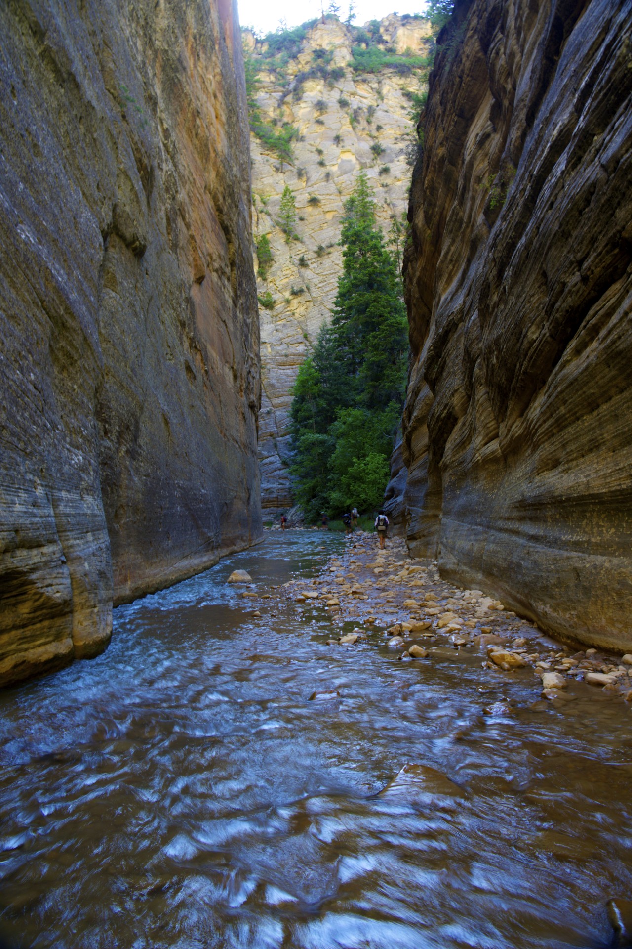 Zion Narrows