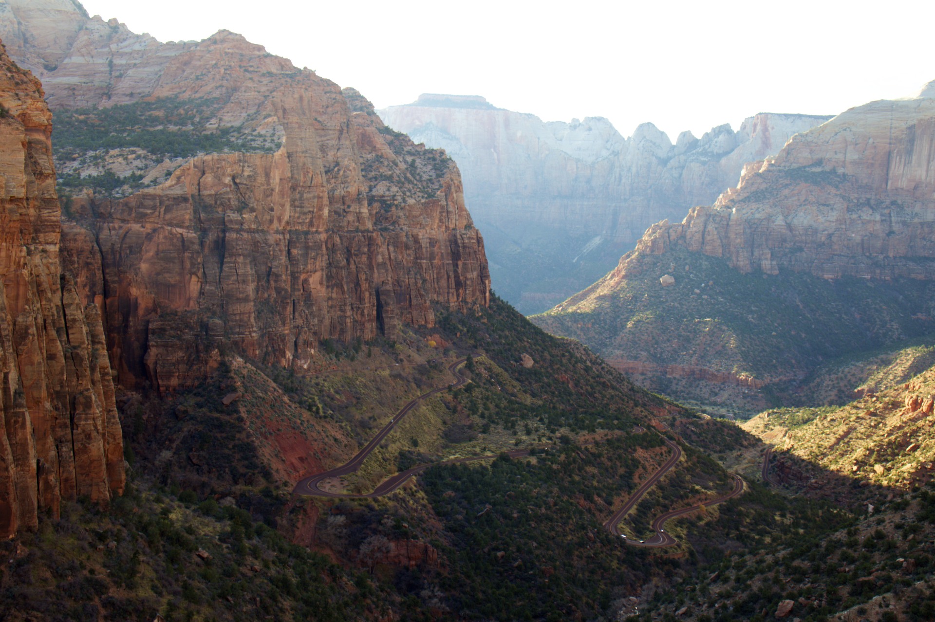 Zion Switchbacks - gallery